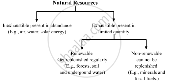 Fossil Flow Chart