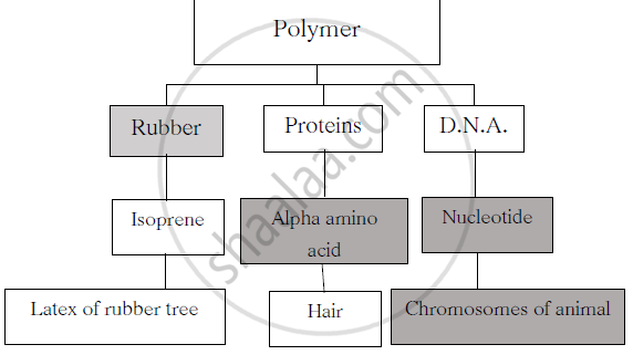 Polymer Flow Chart