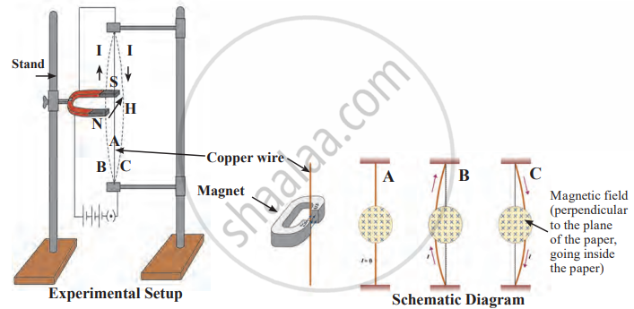 Force on a Current Carrying Conductor in a Magnetic Field | Shaalaa.com
