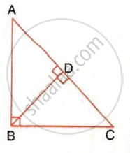 The image displays a right-angled triangle ABC with a right angle at vertex B and an internal perpendicular altitude segment BD dropped to the hypotenuse AC, marked with right-angle symbols. It illustrates the geometric mean theorem, triangle similarity, and proportional side relationships within right-angled triangles.