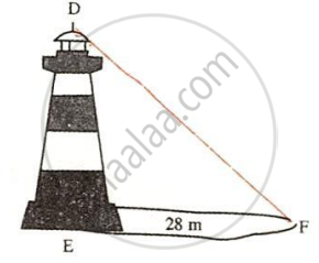 The image displays a right-angled triangle DEF formed by a lighthouse of height DE, its shadow EF measuring $28\text{ m}$, and a line of sight DF connecting the top of the lighthouse to the tip of the shadow. It illustrates right-angled triangle relationships, shadow-height proportions, and trigonometric applications for real-world distance and height problems.