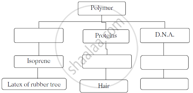 Polymer Flow Chart