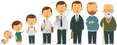 The image displays an illustration showing the human life cycle progressing through various developmental stages from infancy and childhood to adulthood and old age.