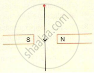 It shows a vertical current-carrying conductor placed perpendicularly between the North ((N)) and South ((S)) pole pieces of a permanent magnet to study magnetic Lorentz force deflection.