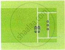The image displays an educational diagram of a cricket crease showing the popping crease and footing position relative to the stumps.