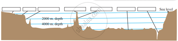 Balbharati Solutions For Geography 11th