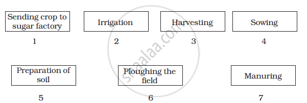 Crop Production Flow Chart