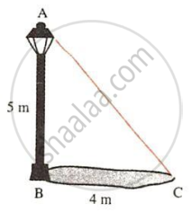 The image displays a right-angled triangle ABC formed by a lamp post of height AB ($5\text{ m}$), its shadow BC ($4\text{ m}$), and a line of sight AC connecting the top of the lamp post to the tip of the shadow. It illustrates right-angled triangle relationships, shadow-height proportions, and Pythagorean theorem applications for real-world distance and height problems.