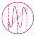 The image shows an irregular wave pattern inside a circular boundary, with dashed vertical lines marking different positions of the wave.