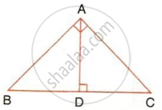 The image displays a right-angled triangle ABC with a right angle at vertex A and an internal perpendicular altitude segment AD dropped to the base BC, marked with right-angle symbols. It illustrates geometric mean theorems, triangle similarity, and proportional relationships within right triangles.