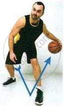 The image displays a photograph of a basketball player dribbling the ball with overlaid directional arrows indicating movement, corresponding to the document reference source.