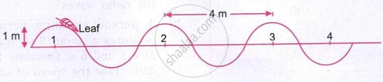 The image shows a transverse wave carrying a leaf, with an amplitude of about 1 m and a wavelength of about 4 m.