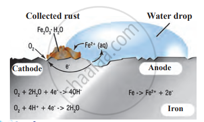 Observe The Following Picture And Answer The Following Questions What Is Rust Write The Chemical Formula Of Rust Write The Reaction Of Oxidation Of Iron At The Anode Science And Technology