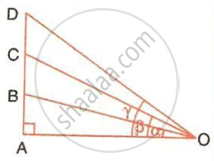 The image displays a right-angled triangle with a right angle at vertex $A$, points $A, B, C, D$ along the vertical side, and rays extending from vertex $O$ forming angles $\alpha, \beta, \text{ and } \gamma$.