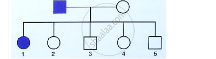 Pedigree Chart For Colour Blindness