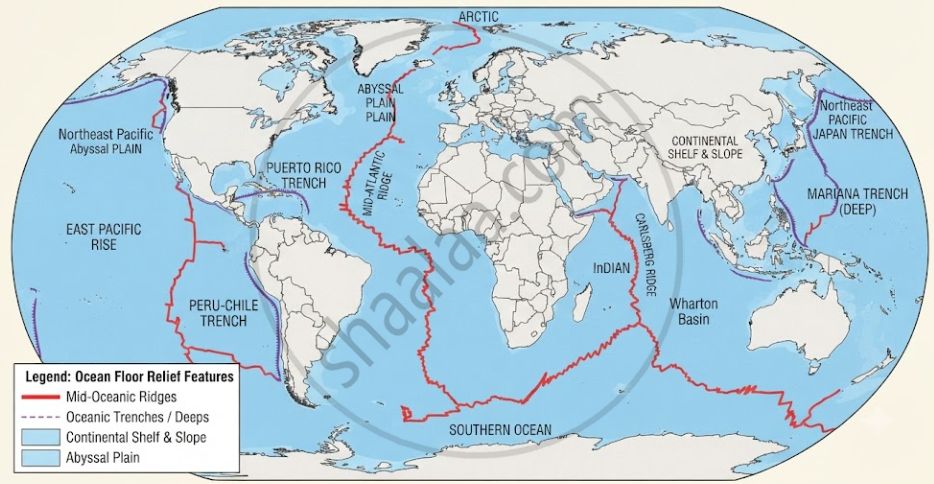 (i) Consult the atlas and show ocean floor relief on the outline of the ...