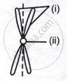 Chromosome structure shows two sister chromatids joined at the centromere.