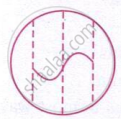 The image shows a wave pattern within a circular boundary, with vertical dashed lines marking different positions of the wave.