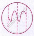 The image shows an irregular wave pattern inside a circular boundary, with vertical dashed lines marking different positions along the wave.