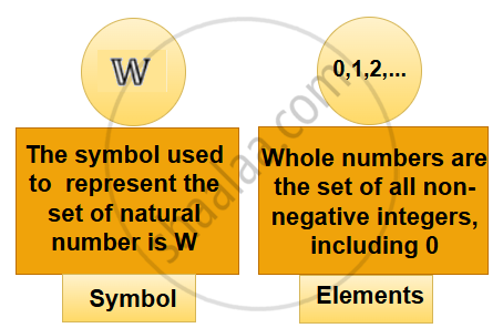 Whole Numbers | Shaalaa.com