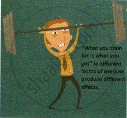 The image displays an educational illustration of a person lifting a heavily loaded barbell overhead, accompanied by the text quote "What you train for is what you get" i.e. different forms of exercise produce different effects.