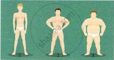 The image displays an educational illustration showing three numbered male figures representing different body types.