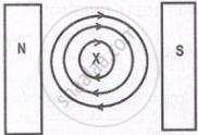 It illustrates a conductor cross-section marked 'X' carrying current into the page, surrounded by concentric magnetic field lines, placed between the North (N) and South (S) poles of a magnet.