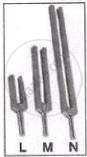 Tuning forks L, M, and N have different prong lengths, where the smallest fork L produces the highest frequency sound and the longest fork N produces the lowest frequency sound.