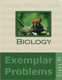 NCERT Exemplar solutions for Biology Exemplar [English] Class 11 chapter 3 - Plant Kingdom - Shaalaa.com