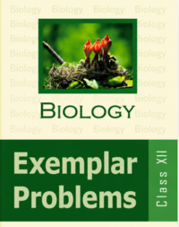 NCERT Exemplar Solutions for Biology Exemplar [English] Class 12 - Shaalaa.com