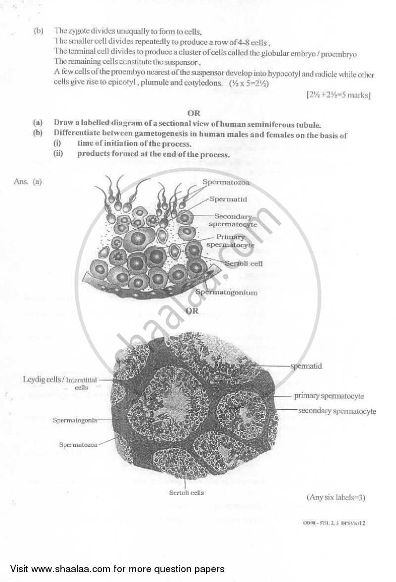 Biology 2007-2008 - CBSE 12th - Class 12 - CBSE (Central Board of Secondary Education) question paper with PDF download