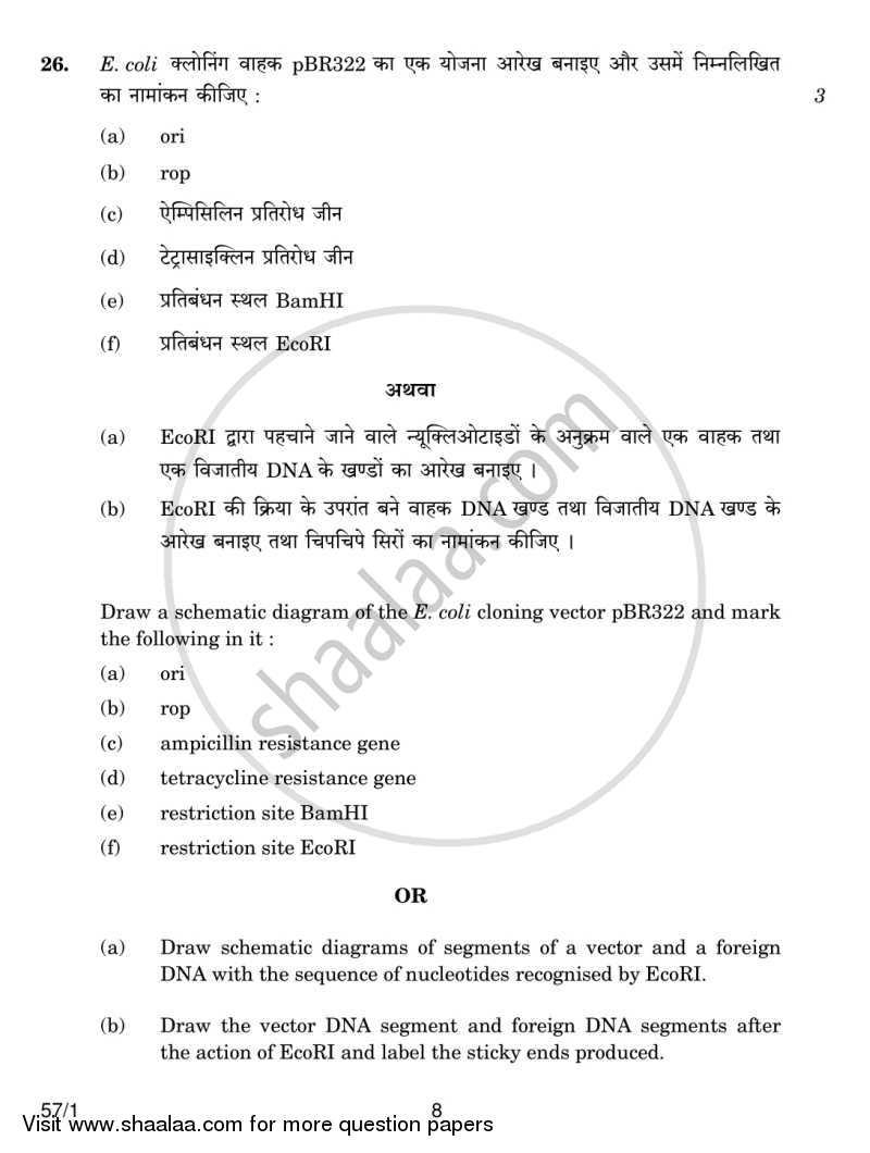 Biology 2013-2014 - CBSE 12th - Class 12 - CBSE (Central Board of Secondary Education) question paper with PDF download