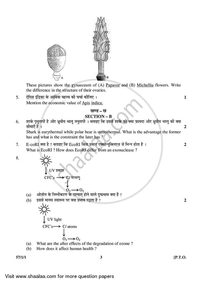 Biology 2014-2015 - CBSE 12th - Class 12 - CBSE (Central Board of Secondary Education) question paper with PDF download