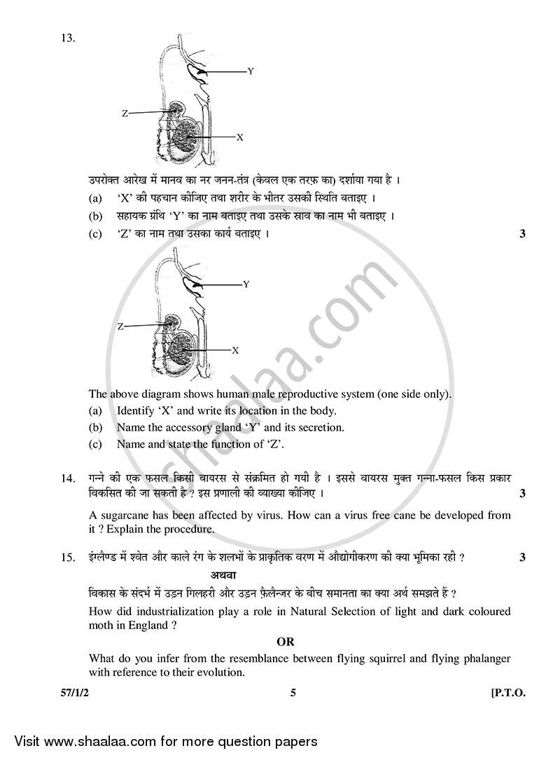 Biology 2014-2015 - CBSE 12th - Class 12 - CBSE (Central Board of Secondary Education) question paper with PDF download