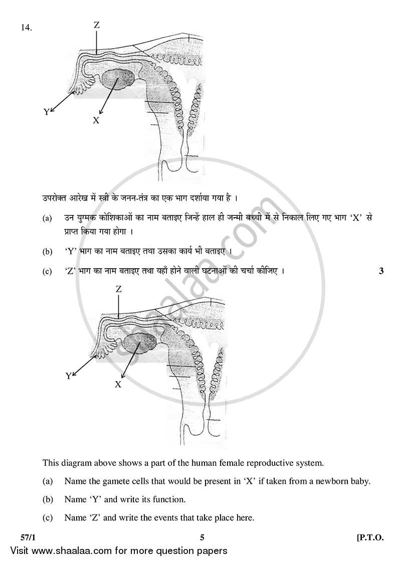 Biology 2014-2015 - CBSE 12th - Class 12 - CBSE (Central Board of Secondary Education) question paper with PDF download