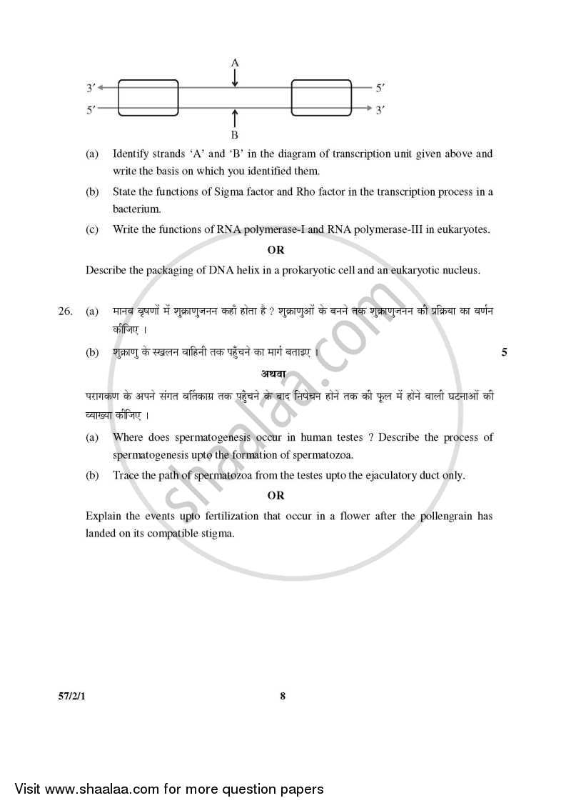 Biology 2015-2016 - CBSE 12th - Class 12 - CBSE (Central Board of Secondary Education) question paper with PDF download