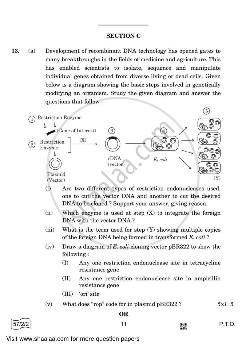 Biology 2021-2022 - CBSE 12th - Class 12 - CBSE (Central Board of Secondary Education) question paper with PDF download