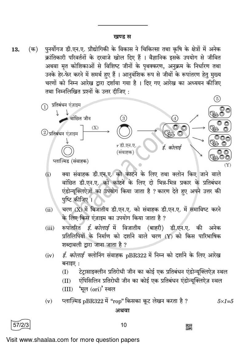 Biology 2021-2022 - CBSE 12th - Class 12 - CBSE (Central Board of Secondary Education) question paper with PDF download