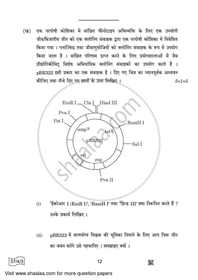 Biology 2021-2022 - CBSE 12th - Class 12 - CBSE (Central Board of Secondary Education) question paper with PDF download