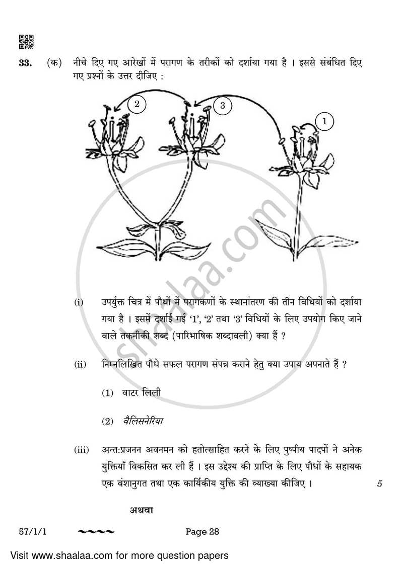 Biology 2022-2023 - CBSE 12th - Class 12 - CBSE (Central Board of Secondary Education) question paper with PDF download