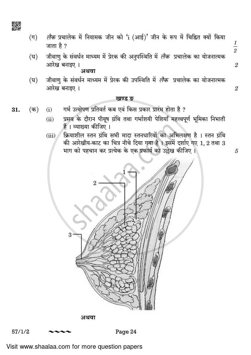 Biology 2022-2023 - CBSE 12th - Class 12 - CBSE (Central Board of Secondary Education) question paper with PDF download