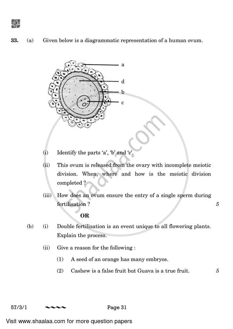 Biology 2022-2023 - CBSE 12th - Class 12 - CBSE (Central Board of Secondary Education) question paper with PDF download
