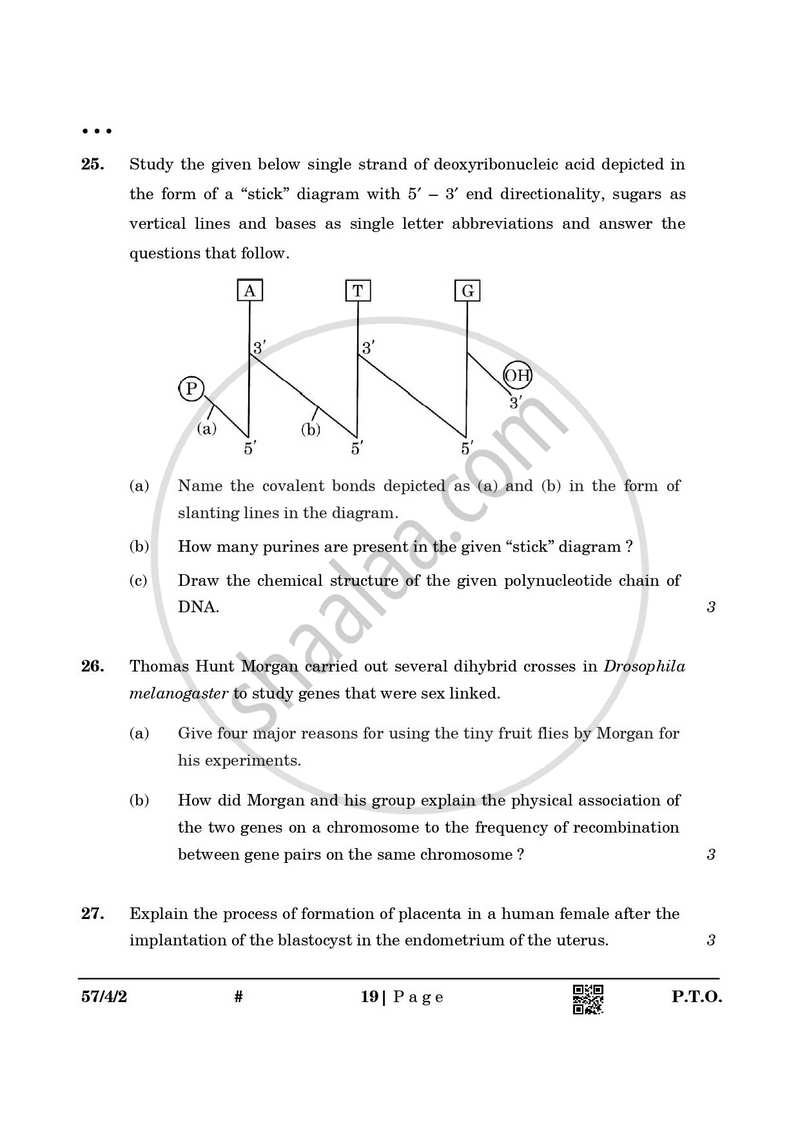 Biology 2024-2025 - CBSE 12th - Class 12 - CBSE (Central Board of Secondary Education) question paper with PDF download