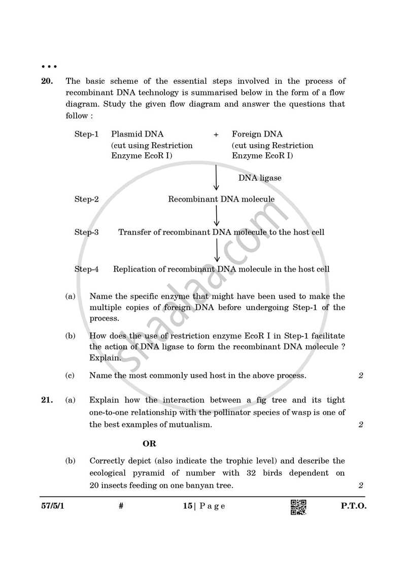 Biology 2024-2025 - CBSE 12th - Class 12 - CBSE (Central Board of Secondary Education) question paper with PDF download