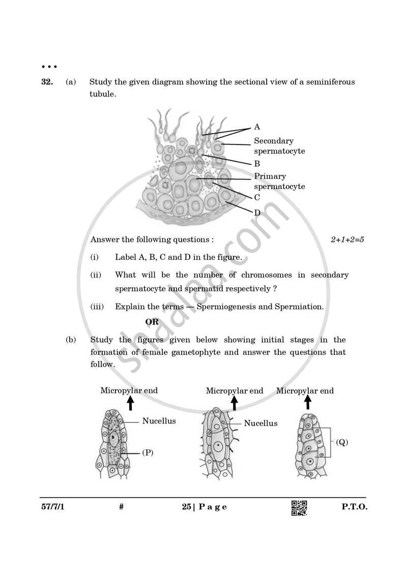 Biology 2024-2025 - CBSE 12th - Class 12 - CBSE (Central Board of Secondary Education) question paper with PDF download