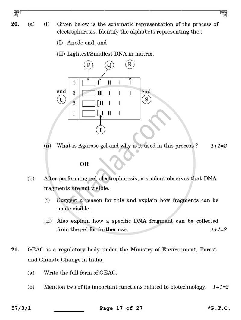 Biology 2025-2026 - CBSE 12th - Class 12 - CBSE (Central Board of Secondary Education) question paper with PDF download