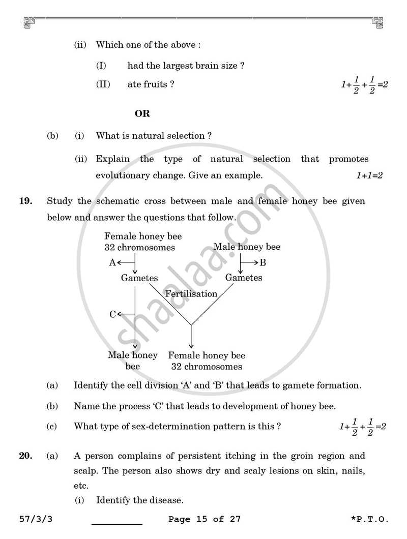 Biology 2025-2026 - CBSE 12th - Class 12 - CBSE (Central Board of Secondary Education) question paper with PDF download