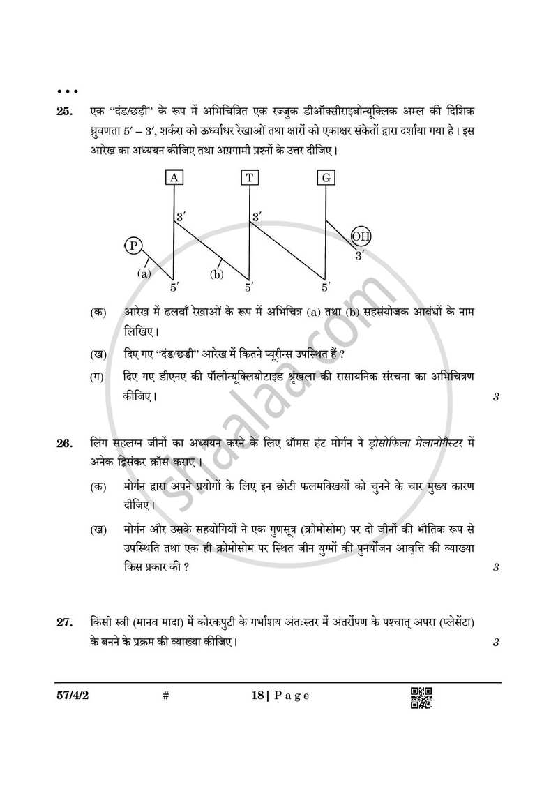 Biology (जीव विज्ञान) 2024-2025 - CBSE 12th - Class 12 [कक्षा १२] - CBSE (Central Board of Secondary Education) question paper with PDF download