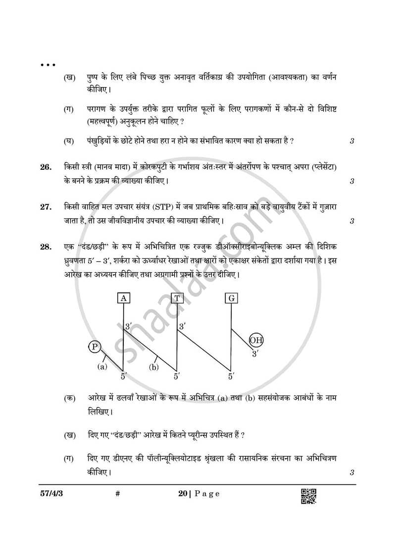 Biology (जीव विज्ञान) 2024-2025 - CBSE 12th - Class 12 [कक्षा १२] - CBSE (Central Board of Secondary Education) question paper with PDF download