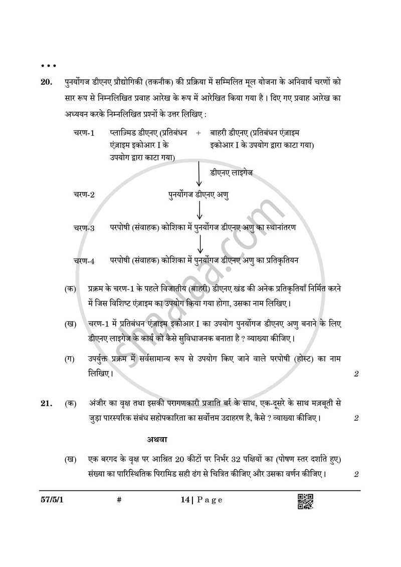 Biology (जीव विज्ञान) 2024-2025 - CBSE 12th - Class 12 [कक्षा १२] - CBSE (Central Board of Secondary Education) question paper with PDF download